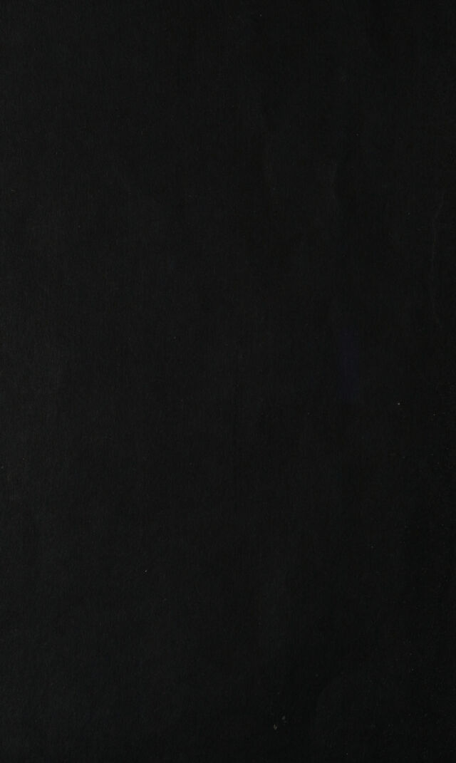 digitised image 2