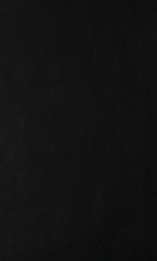 digitised image 2