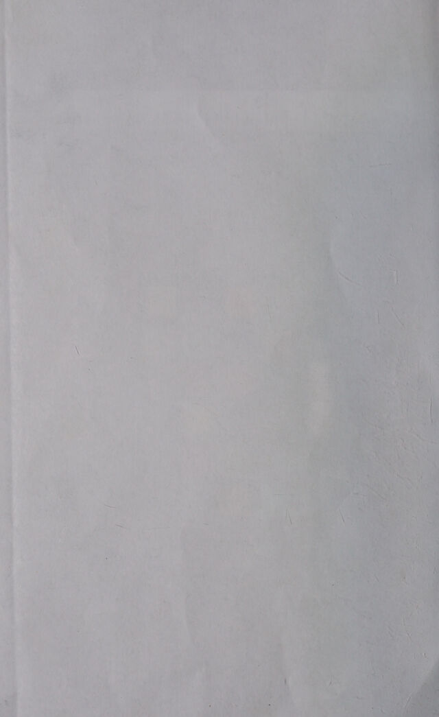 digitised image 2