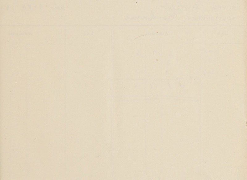  i= Be Ey   (eo 4 3 ge stig?  obs s 2 ee -      al   