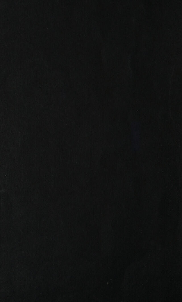 digitised image 2
