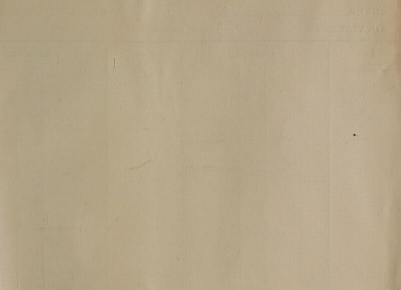 ® i PT ee ee <a sree -_-~ af pag Py 