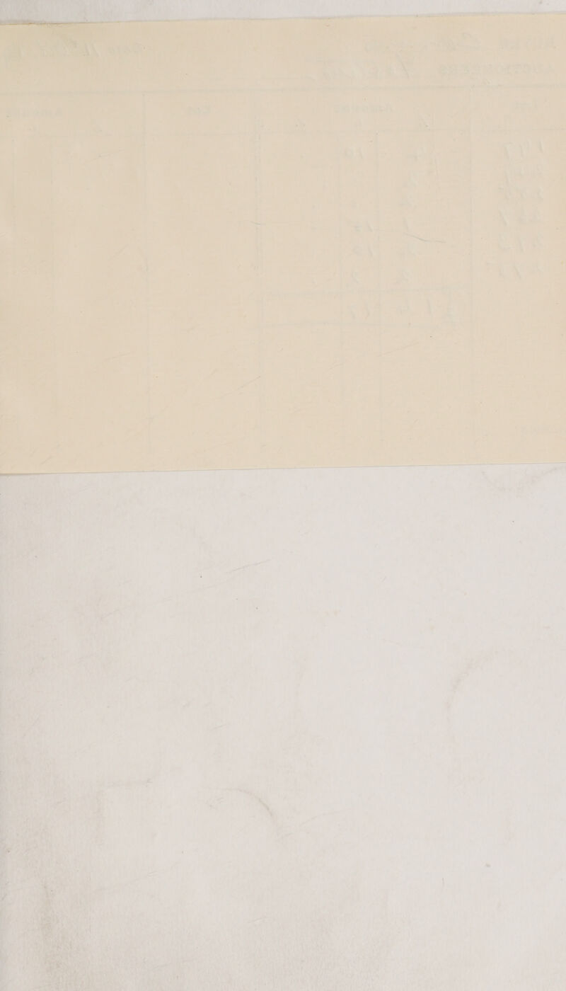 ae a 7 = nt a nl x he ; ; ene at ius ifs, pays aaa aa, oo DBS gmat ee a F ines oy nt muh 6 v # \ oot aes hotels. tay Ss = ‘ ¥ 