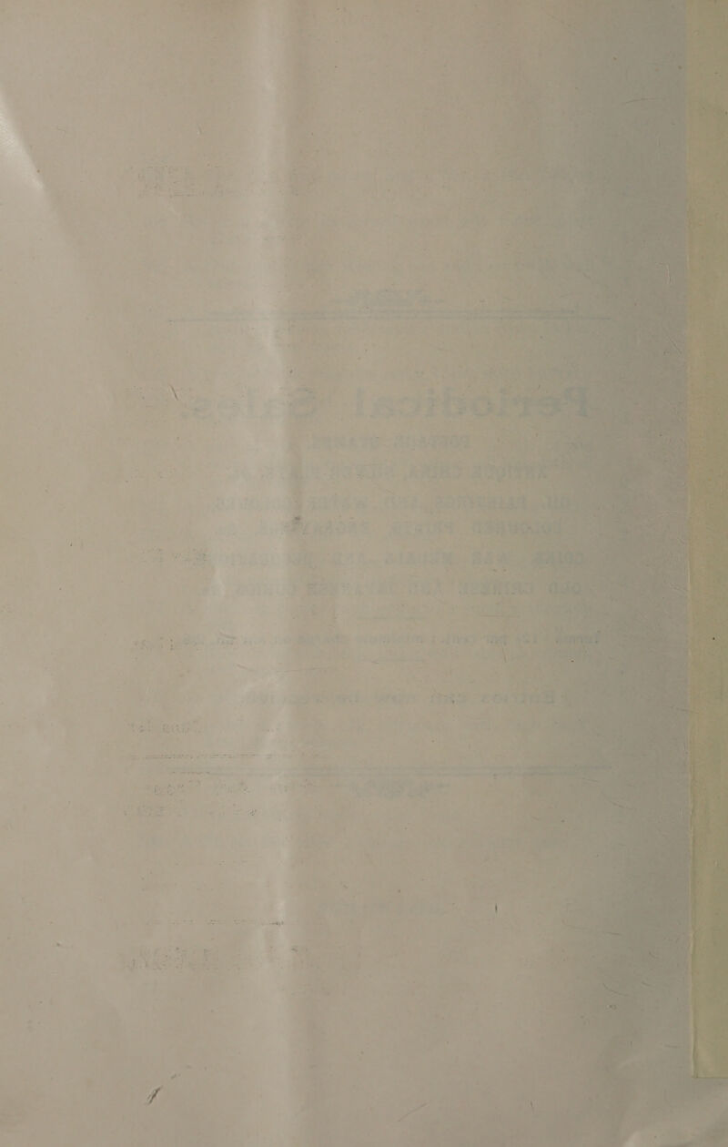      * ~ . « é 4 ; aa ~ 3 he es = : ys : ey f  ve a = ” oe ee ‘ 52 oy gen SA Pcs ; - oe eG ~ = Rag ot ‘ ‘ 2 ¢ &amp; : ‘ . ‘ ! = 5 a oe a a cee ohn ° Ft * > ¥ 4: % et ye ana r a ; te = fou - / ‘ te + re ye eis vs yee aS Se xf: - riod ; vert ¢ : f foe: a 5 eS 7 es é Piette ) 4 Pa .* Lag iy Pan + - - . . Se. Gee ee yt =o . » = ge « td . -