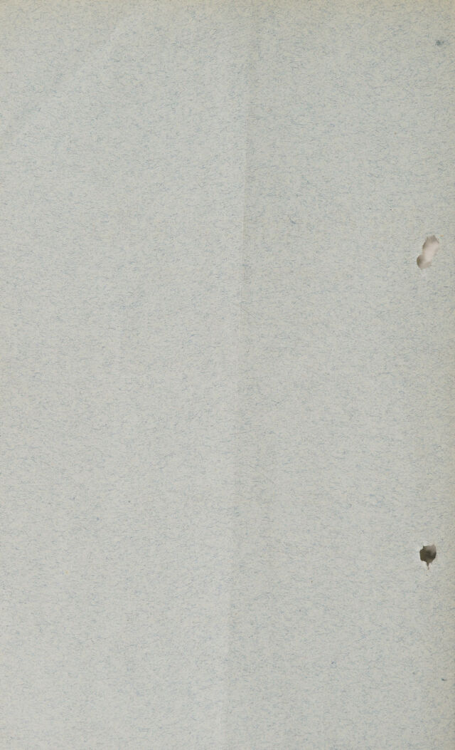 digitised image 2