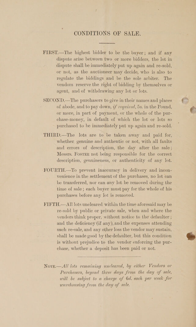 digitised image 2