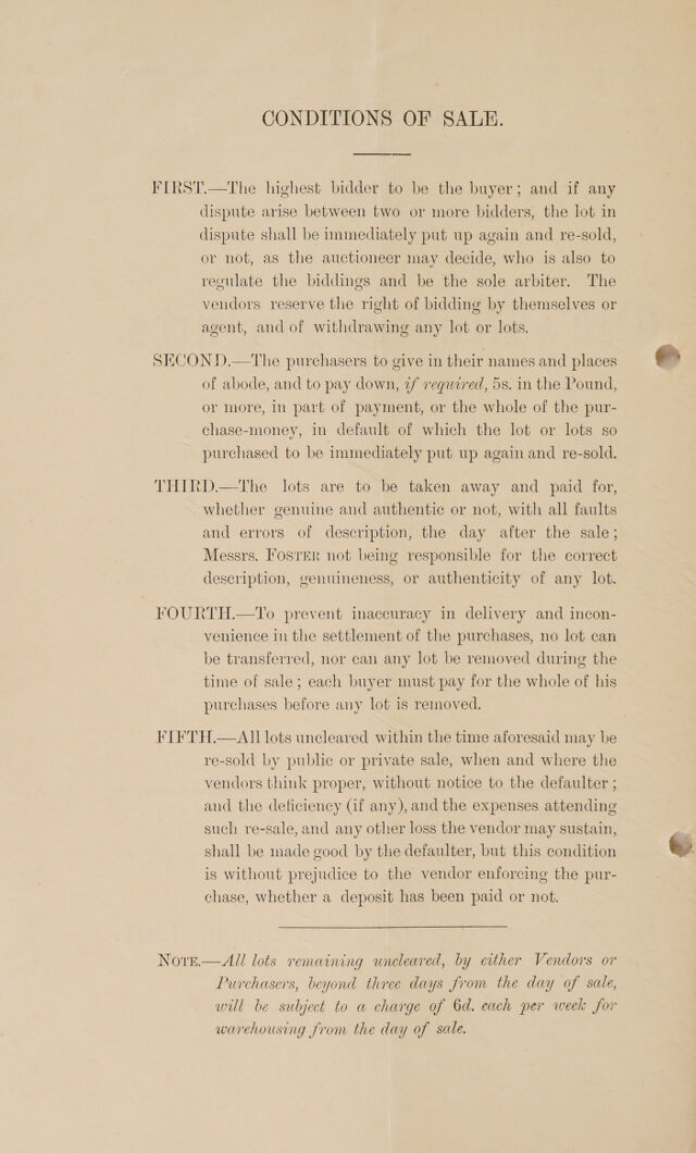 digitised image 2