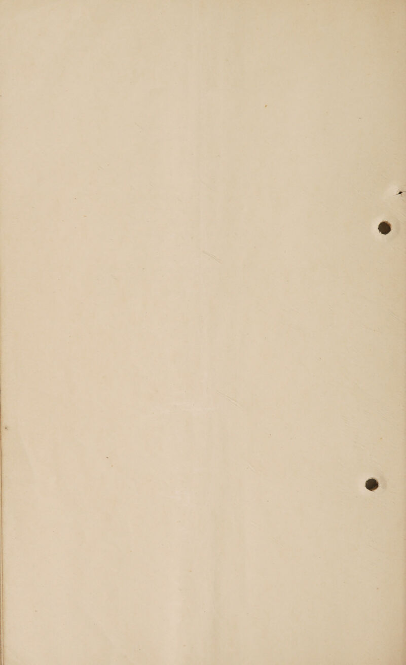   —_ , oe area ~. LS | rr See et a iy Ia