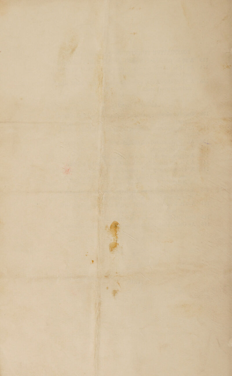  ot i ee iY AIIAP  by    ee tte ae 