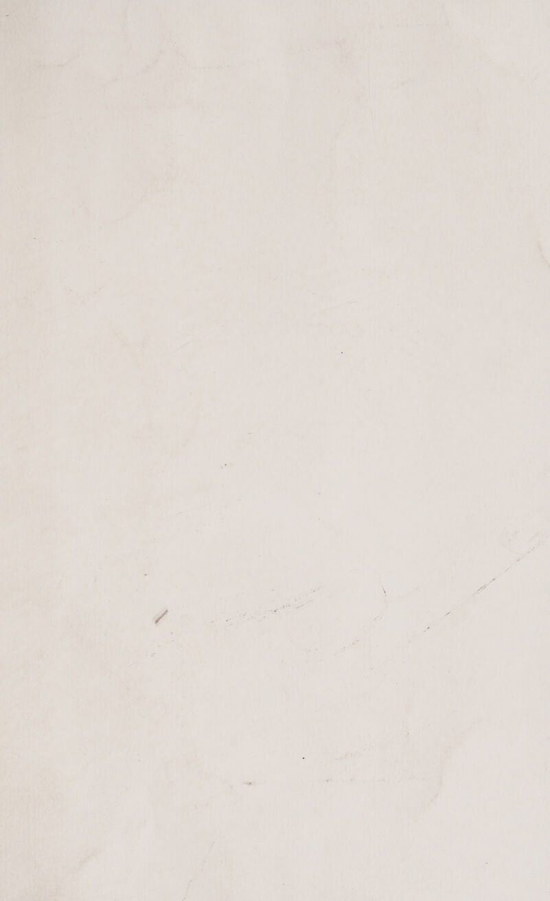 Digitized by the Internet Archive in 2021 with funding from Wellcome Library https://archive.org/details/o31823014