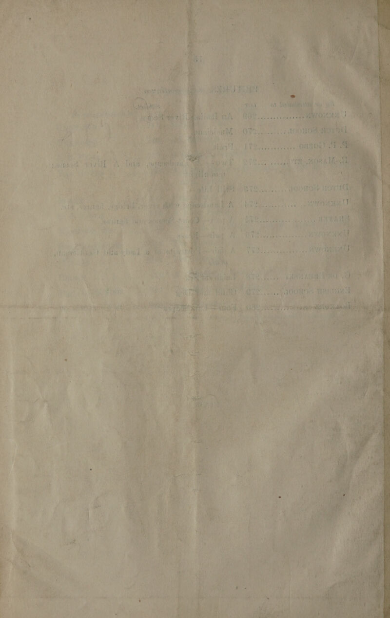 A SEA i f NE ty (OT coed 100808 . et) it aren. A RE. ee Nea 3 1% f a M rea +) VAR) Weve analy? hi LRHEAL ey: Si -_ me 