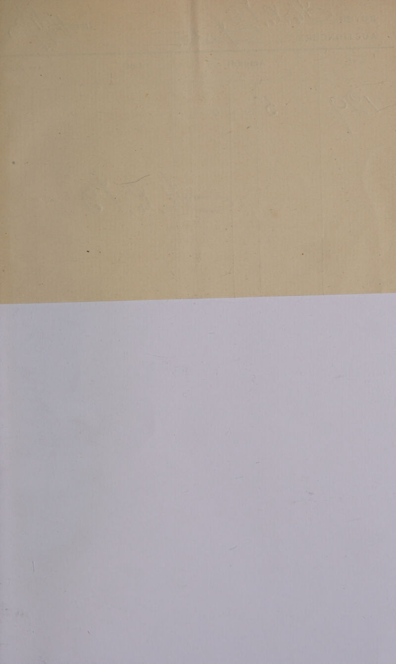 ae a t Led    ee 20k. Pd mignon o,  iow 47 we 4 3 | ‘ Mi A te - : + * ’ at 5 t hh Bet Pe a , ee 3% . cy ‘ ’ : ity, ‘ L , % } a> * i 1 Sw é < , ee al us o a oe i! ‘ ~    * 4 . * « ; 8 = ° . i] = sg. on : ‘ oe reall . ae % . mie tae 5 eS i ag i = > 1 e a 2 zg . Ae * ~ % t f a i hers } 2s 5 9 oy 4 ‘ he ce * ie a Stam. == i yee gre uel he id We —