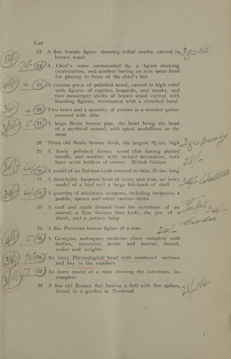 brown wood A Chief’s stave surmounted by a figure showing cicatrization, and another having an iron spear head for placing in front of the chief’s hut   A curious piece of polished wood, carved in high relief with figures of reptiles, leopards, and masks, and two messenger sticks of brown wood carved with ~ kneeling figures, terminated with a clenched hand 2, £ (26) Two bows and a quantity of arrows in a wooden quiver 7 ger =e Y: covered with skin af) &gt; 1 A large Benin bronze pipe, the bowl being the head of a mythical animal, with spiral medallions on the ee stem 29 A finely polished brown wood club having plaited _ handle, and another with incised decoration, both = ¢/.) have wrist holders of cotton. British Guiana (VOld Lol zm | ACP Cal Feed Cos model of an Eskimo kyak covered in skin, 35 ins. long 5 model of a bird and a large fish-hook of shell - € ; RUA 60 \@) A quantity of miniature w eapons, including harpoons, a at oi a da s paddle, spears and other various items 33 A staff and rattle formed from the vertebrae of an animal, a New Guinea lime knife, the jaw of shark, and a pottery lamp 34 A 6in. Peruvian bronze figure of a man - LY () ao x Di 5. (35/ A Georgian mahogany medicine chest cacy with iu bottles, measures, pestle and mortar, funnel, scales rane aya | /) LES) ivory Phrenological head with numbered _ sections (3% 4 and key to the numbers (37 An ivory betel ‘of a man showing the intestines, in- complete 38 &lt;A fine old Roman flail having a ball with five spikes, found in a garden at Norwood  - - of igo 47 7 AGS a ’ ol on ; li IAAL © th \ Lag ye Ss ie a on WA al j&gt; r yey