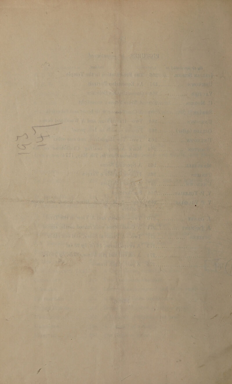  an   - 3 : - q “weit A ree re Pa Fn hy        weg Ay ‘ ie ABD i i, tatilioT: rs ty ie sah re 4 i = - ahr08) . cee  Ot me Pe 4347, Chee Cera nse ete     i sah : | rane : be  “ys » i, x ry “ T &amp; : ee ae A, ? ‘ a. a.