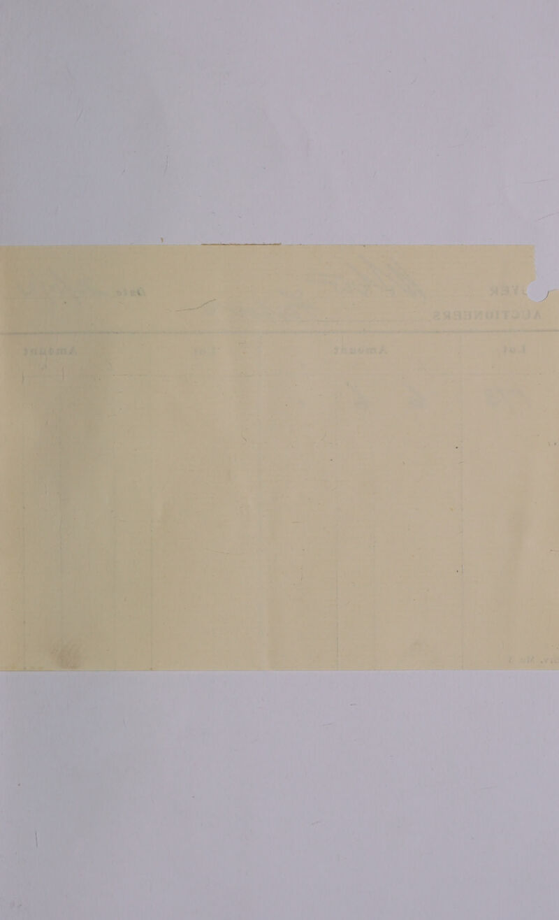    —— a ys WAN 288RKV01TSUA  siuomA - z ted ‘ : - : 4 Le “4 | = } é is, om ; _ A cl ca I y ——- 4 é I< a 2 Ge pee’ oe ' ' a ‘ DY af = : y 7 i : 1] 4. if : er