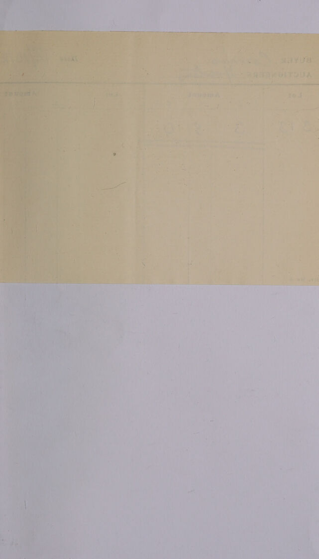 digitised image 3