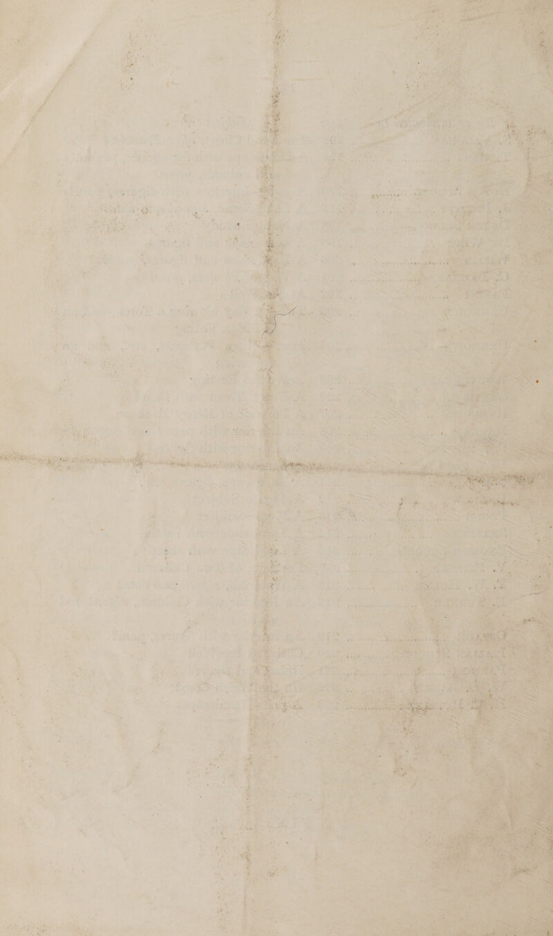    4h Peat Oh Med Oh ee ae:    : \ bd . s ™«, L at ? é . ‘ s a + . a ia 3 “ffl * ‘ rs . ‘ i ‘ iN i ‘ mT } Pree ‘ ey , . e . , ye i t be ‘ Sa) 