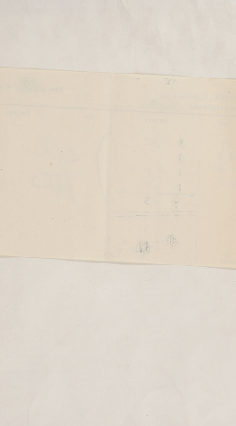 7 : \ + F 4 ea. et He 4 ay ae cn: ua @ ef &amp; MY ‘ Pad oo  =  . f ‘ Bite ¥ r as 1 ohh ; ny on ” A ~ » nae nas % 2 %    — % as ff he ; » \ NY es bak ‘1 5 ‘ ae 7 | A) ‘\ a AX i. = S a* iF as aM oe . ~e 