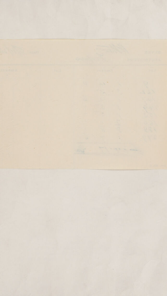 digitised image 3