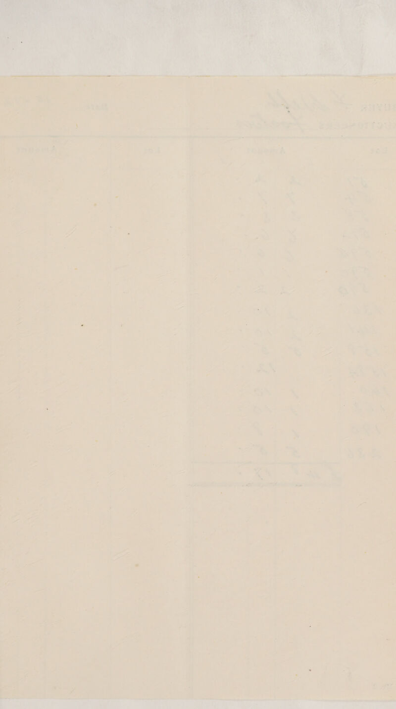  AN min al . 24S aeroTe Jo.) |  %, ' o .  ‘ ‘ase ie a Mad , i : “4h as OE \ 7.8 iy