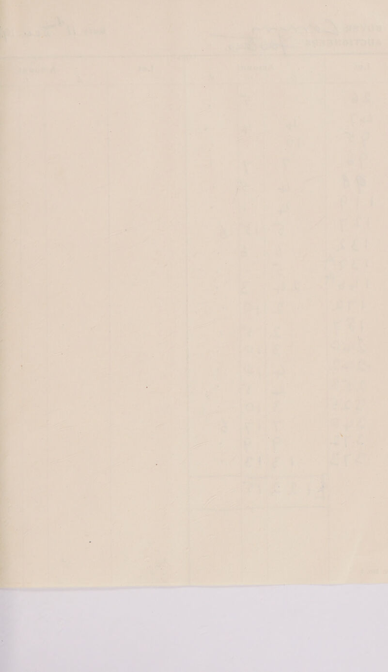 tio ye ied Y Y be E4 SA ; .  ; ~ * > ¥ a , : \ : . ‘ - ~ 7: Fs   : ‘ : ; oe , et > ‘i 7 , : ‘ ao ta AF v- 3 ‘oF ats 4 = as ry ¥ ty ‘. oie . ; ¥ ; i Ok) c Soe r iE ee en a ett RD oe soars 5 1 ey “4 i = eee * rs 4 i < % A : any 1 ny 2 > s “1 B * aif x ae | i yo a. ory ee sm dy yi “ : oe wa - =e , SS \ c q a : oo i am ye: Le Aa hay ep ee tee 3 : 1 NY ore eee = ita 7 7 F ee m3 \ A ct = 7 i \ mae ae: on i‘ . * * 7 ee ae a 7 Z ; ‘ os : . a s 2 > 7 Z ; <4 ee ing : * py S ‘ 23 t ~S, ; ek ee ae : ; . , : ; oe oe Set Se es - - ae ox - a) = -~ 2 a a _ to = Ms : Aa eo we \ ow = a sy z? ~ a a as 7 + \ = £ <— iy ba - f > a ea uy i iS  a Se SE CPU a ET a