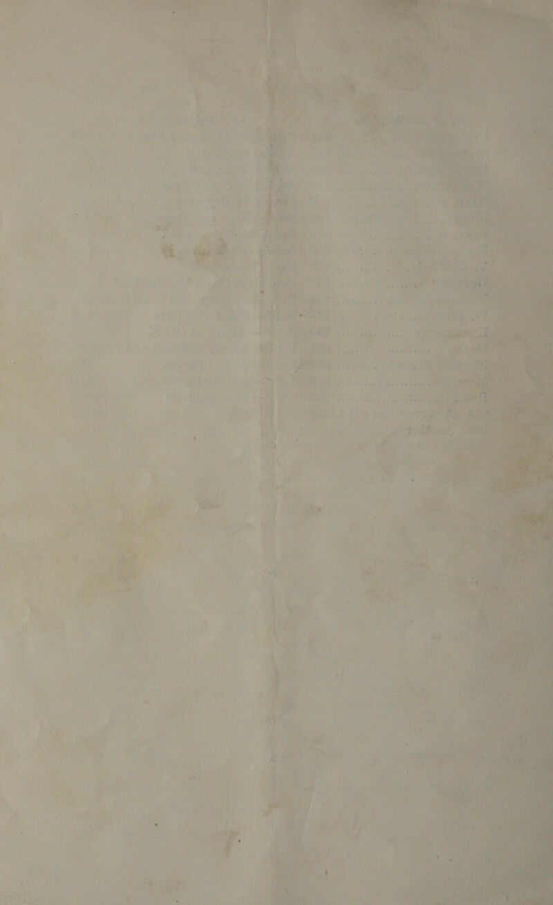 Fer OW see eee ‘es od + ie atl, = aoe i eee ee) ee j wb oe os > Ug aes (tee eP et ieee «* Ft ar 4p eee ewnntee » et = of Ouse me © : ay rr + Petit neee 