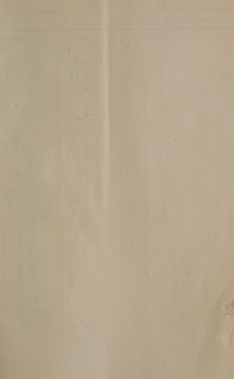    ety a a Pie nie ey pete Gyr 24 as, 