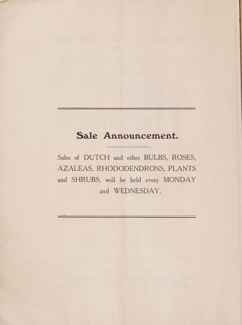 Sale Announcement. Sales of DUTCH and other BULBS, ROSES, AZALEAS, RHODODENDRONS, PLANTS and SHRUBS, will be held every MONDAY and WEDNESDAY. 