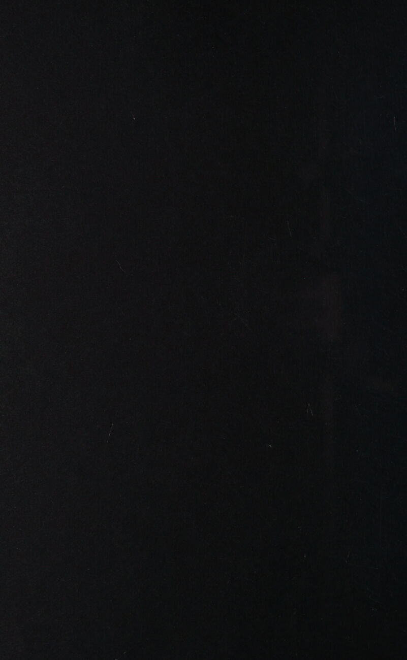  tg  <7 ‘= Pie ted SF = Be ‘ Pky ba t < , 9 12 , a? Ya ver ae rs i LJ . ¥ a 4 att i) 4 , 