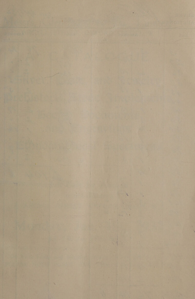  ins os aus vik : Le ee Mel > ae mevee Dy.  A Peay ty ru ; “e ’ : 7 : 4 » : °  - ; ae! 5 ul it 4 i - “a : wy   , ‘ y ay 1+ he i 4 ' ‘ t 4 ° ‘ Of ¥ = ‘ yy +s we oe 7 ¥ - > a { ss e sh ‘ ’ > > ‘i e ; “ Per > aie % ) ’ hh ! ash ¥ se y a ; hy try ip . - 4) i: ea at t ' Ht 4 , ha y iE : ort z oh eA ys Me) ar f ‘ i ‘a b é ap iW iy * 4 he oO. b } &amp; \ } 4 . if , + > AA ks ? oe ae - ee .. . =) . eT st %5 ya emery Cat : ; ee j v + re ¥ i ¥ ’ 1 5 i % mS ‘ : ‘ , na | 2 j ¢ F ’ 