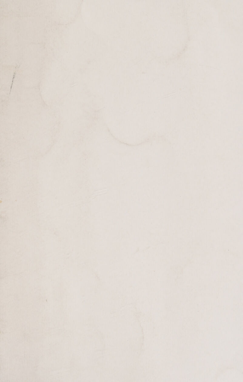 Digitized by the Internet Archive in 2021 with funding from Wellcome Library https://archive.org/details/o31825527