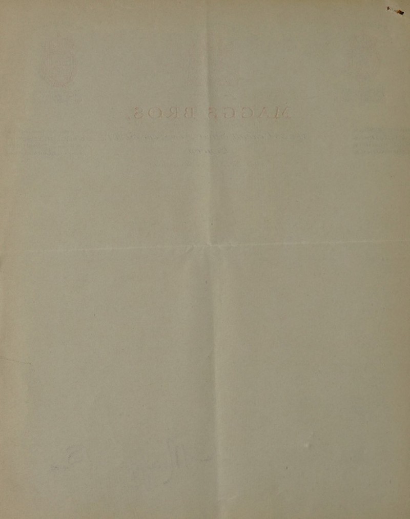 me, +4 a” a ae re ‘ Ri! ie <p On Rar ee : pat ra 7 a ’ Me Lie i eth, ee . Ns — Md ’ : \, ? ee, r4 - ae) MTs a is eae Can co : 