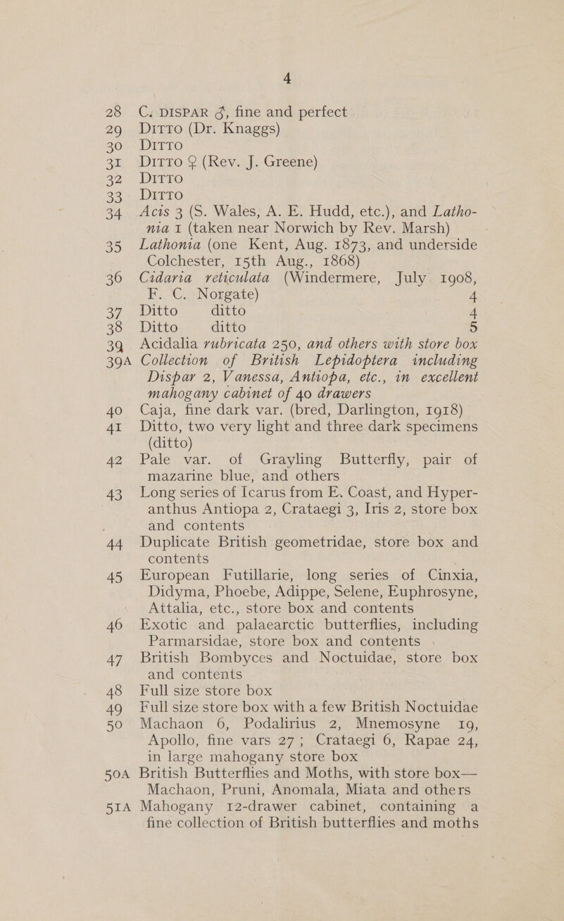 28 29 30 et 32 33 34 30 36 37 38 39 394 40 AI 42 43 44 45 46 Au 48 49 50 4 CeDISPAR 4, fine and perfect) Ditto (Dr. Knaggs) DiTTo Ditto 2 (Rev. J. Greene) DitTTo Ditto 7 Acts 3 (S. Wales, A. E. Hudd, etc.), and Latho- nia I (taken near Norwich by Rev. Marsh) Lathoma (one Kent, Aug. 1873, and underside Colchester, 15th Aug., 1868) Cidaria reticulata (Windermere, July 1908, I..-C..; Norgate) 4 Ditto ditto | 4 Ditto ditto 5 Acidaha rubricata 250, and others with store box Collection of British Lepidoptera including Dispar 2, Vanessa, Antiopa, etc., in excellent mahogany cabinet of 40 drawers Caja, fine dark var. (bred, Darlington, 1918) Ditto, two very light and three dark specimens (ditto) 7 Pale var. of Grayling Butterfly, pair of mazarine blue, and others Long series of Icarus from E. Coast, and Hyper- anthus Antiopa 2, Crataegi 3, Iris 2, store box and contents Duplicate British geometridae, store box and contents : European Futillarie, long series of Cuinxia, Didyma, Phoebe, Adippe, Selene, Euphrosyne, Attalia, etc., store box and contents Exotic and palaearctic butterflies, including Parmarsidae, store box and contents . British Bombyces and Noctuidae, store box and contents Full size store box Full size store box with a few British Noctuidae Machaon 6, Podalirius 2, Mnemosyne 10a, Apollo, fine vars 27; Crataegi 6, Rapae 24, in large mahogany store box 5IA Machaon, Pruni, Anomala, Miata and others Mahogany 12-drawer cabinet, containing a fine collection of British butterflies and moths