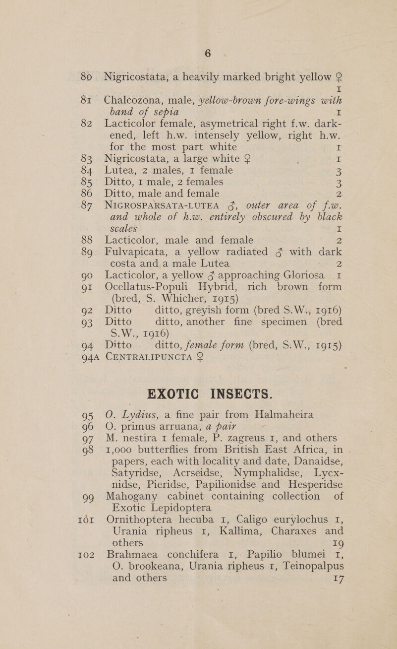 80 Sr 82 95 96 Q7 98 OD 102 6 Nigricostata, a heavily marked bright yellow 2 I Chalcozona, male, yellow-brown fore-wings with band of sepia I Lacticolor female, asymetrical right f.w. dark- ened, left h.w. intensely yellow, right h.w. for the most part white Nigricostata, a large white 9 Lutea, 2 males, 1 female NWO HH Ditto, male and female NIGROSPARSATA-LUTEA 3, outer area of f.w. and whole of h.w. entirely obscured by ee scales Lacticolor, male and female Z Fulvapicata, a yellow radiated g with dark costa and a male Lutea 2 Lacticolor, a yellow 3 approaching Gloriosa I Ocellatus-Popult Hybrid, rich brown form (bred, S. Whicher, 1915) Ditto ditto, greyish form (bred S.W., 1916) Ditto ditto, another fine specimen (bred S.W., 1916) Ditto ditto, female form (bred, S.W., 1915) CENTRALIPUNCTA @ EXOTIC INSECTS. O. Lydius, a fine pair from Halmaheira O. primus arruana, a pair M. nestira 1 female, P. zagreus 1, and others 1,000 butterflies from British East Africa, in . papers, each with locality and date, Danaidse, Satyridse, Acrseidse, Nymphalidse, Lycx- nidse, Pieridse, Papilionidse and Hesperidse Mahogany cabinet containing collection of Exotic Lepidoptera Ornithoptera hecuba 1, Caligo eurylochus 1, Urania ripheus 1, Kallima, Charaxes and others : 19 Brahmaea conchifera 1, Papilio blumei 1, O. brookeana, Urania ripheus 1, Teinopalpus and. others: (;. LT,