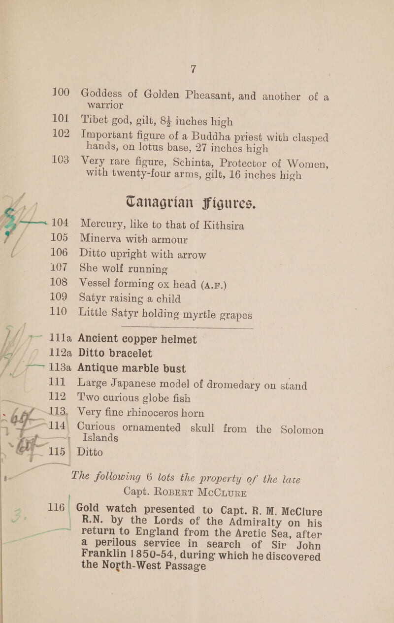 cord 1 100 101 102 103 105 106 107 108 109 110 compan HALE? 112a os 1138 1ii 112 pis &gt;~114' at * ons 116 | | rd 7 Goddess of Golden Pheasant, and another of a warrior Tibet god, gilt, 84 inches high Important figure of a Buddha priest with clasped hands, on lotus base, 27 inches high Very rare figure, Schinta, Protector of Women, with twenty-four arms, gilt, 16 inches high CTanagrian Jigures. Mercury, like to that of Kithsira Minerva with armour Ditto upright with arrow She wolf running Vessel forming ox head (A.F.) Satyr raising a child Little Satyr holding myrtle grapes  Ancient copper helmet Ditto bracelet Antique marble bust Large Japanese model of dromedary on stand T'wo curious globe fish Very fine rhinoceros horn Curious ornamented skull from the Solomon Islands Ditto Capt. RoBERT McCLuRE Gold watch presented to Capt. R. M. McClure R.N. by the Lords of the Admiralty on his return to England from the Arctic Sea, after a perilous service in search of Sir John Franklin 1850-54, during which he discovered the North-West Passage