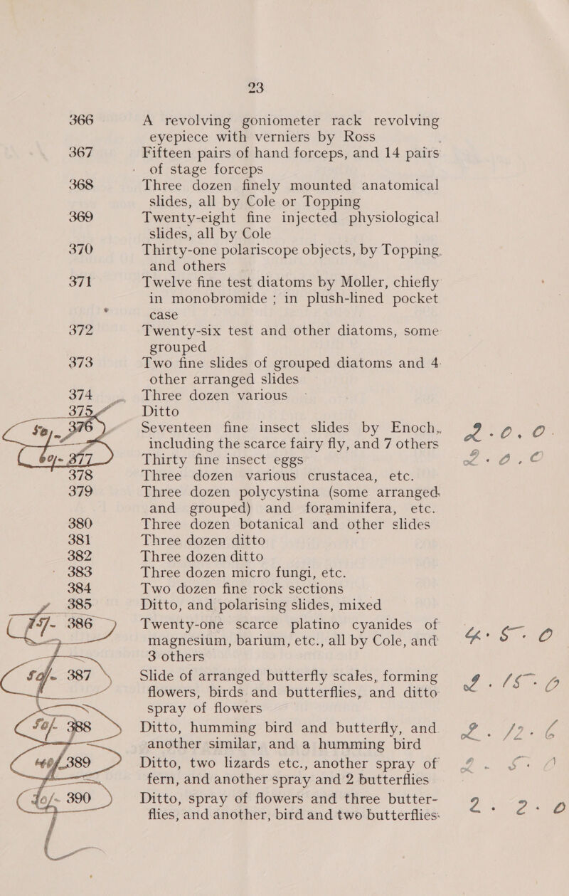367 368 369 370  23 A revolving goniometer rack revolving eyeplece with verniers by Ross of stage forceps Three dozen finely mounted anatomical slides, all by Cole or Topping Twenty-eight fine injected physiological slides, all by Cole and others | Twelve fine test diatoms by Moller, chiefly in monobromide ; in plush-lined pocket case grouped other arranged slides Three dozen various Ditto including the scarce fairy fly, and 7 others Thirty fine insect eggs Three dozen various crustacea, etc. and grouped) and foraminifera, etc. Three dozen botanical and other slides Three dozen ditto Three dozen ditto Three dozen micro fungi, etc. Two dozen fine rock sections ? Ditto, and polarising slides, mixed magnesium, barium, etc., all by Cole, and 3 others Slide of arranged butterfly scales, forming spray of flowers another similar, and a humming bird fern, and another spray and 2 butterflies Ditto, spray of flowers and three butter- “ek ee PI Les