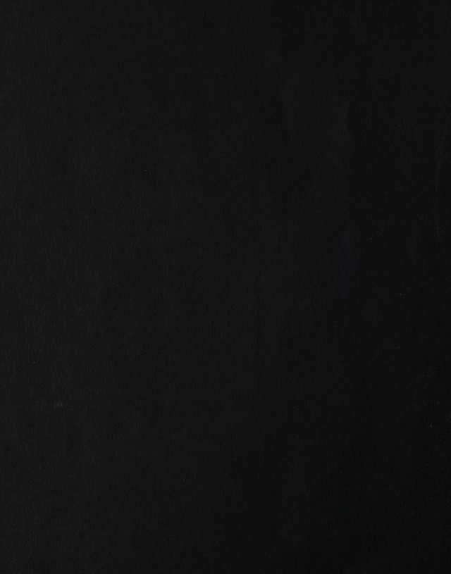 digitised image 2