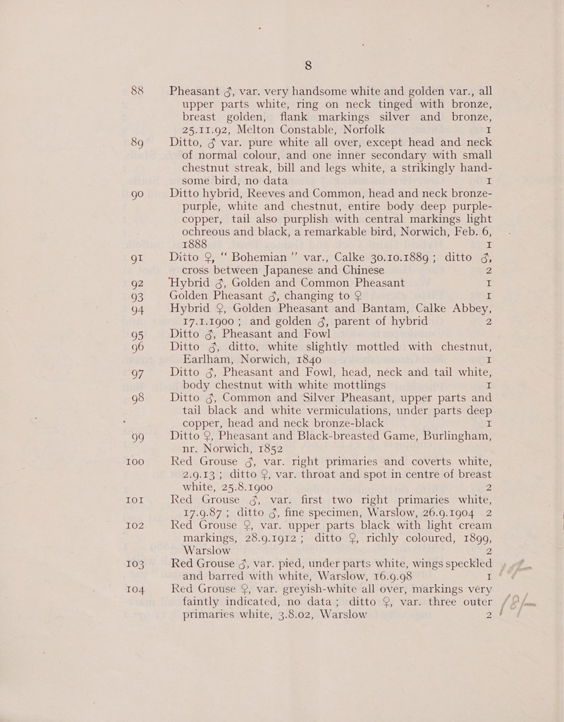 88 89 go gt Q2 93 04 95 G6 97 98 oN 100 IOT 102 103 104 8 Pheasant 4, var. very handsome white and golden var., all upper parts white, ring on neck tinged with bronze, breast golden, flank markings silver and_ bronze, 25.11.92, Melton Constable, Norfolk I Ditto, gj var. pure white all over, except head and neck of normal colour, and one inner secondary with small chestnut streak, bill and legs white, a strikingly hand- some bird, no data I Ditto hybrid, Reeves and Common, head and neck bronze- purple, white and chestnut, entire body deep purple- copper, tail also purplish with central markings light ochreous and black, a remarkable bird, Norwich, Feb. 6, 1888 I Ditto 9, “‘ Bohemian ”’ var., Calke 30.10.1889 ; ditto d, cross between Japanese and Chinese 2 ‘Hybrid 3, Golden and Common Pheasant I Golden Pheasant g, changing to 9 Hybrid 9, Golden Pheasant and Bantam, Calke nae 17.11.1900; and golden g, parent of hybrid 2 Ditto 3, Pheasant and Fowl Ditto g, ditto, white slightly mottled with chestnut, Earlham, Norwich, 1840 x Ditto g, Pheasant and Fowl, head, neck and tail white, body chestnut with white mottlings I Ditto g, Common and Silver Pheasant, upper parts and tail black and white vermiculations, under parts deep copper, head and neck bronze-black i Ditto 9, Pheasant and Black-breasted Game, Burlingham, nr. Norwich, 1852 Red Grouse 4, var. right primaries and coverts white, 2.9.13; ditto 9, var. throat and spot in centre of breast white, 25.8.1900 2 Red Grouse ¢, var. first two right primaries white, 17.9.87 ; ditto J, fine specimen, Warslow, 26.9.1904 2 Red Grouse 9, var. upper parts black with light cream markings, 28.9.1912; ditto 9, richly coloured, 1899, Warslow 2 Red Grouse 4, var. pied, under parts white, wings speckled Red Grouse 8, var. ereyish- -white all over, markings very primaries white, 3.8.02, Warslow 28