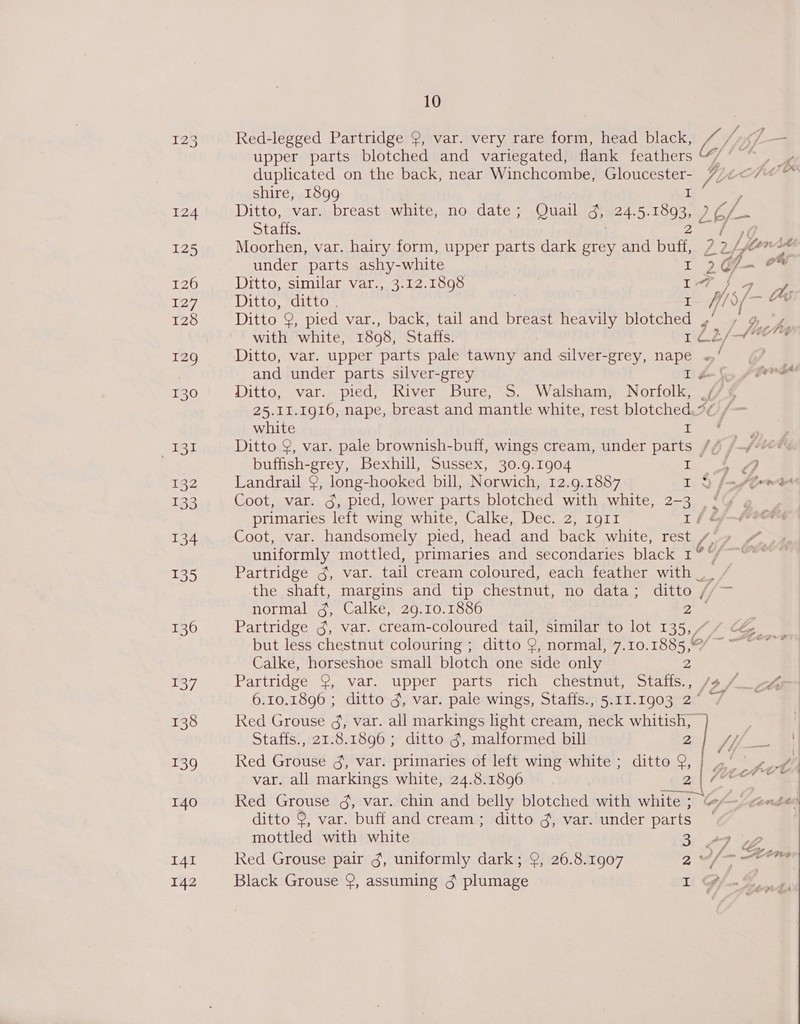 131 132 133 134 135 136 137 138 139 140 I4I 142 10 Red-legged Partridge 2, var. very rare form, head black, L/ Ly - — upper parts blotched and variegated, flank feathers A duplicated on the back, near Winchcombe, Gloucester- Los cpt shire, 1899 I Ditto, var. breast white, no date; Quail 3; 24.5. oe 26/ pe Stafts. Moorhen, var. hairy form, upper parts dark grey and buf, 224 2. Yorn ad under parts ashy-white I 2 Y- Ditto, similar var., 3.12.1898 j If Ditto, ditto | | I tf, Sf og Ditto 9, pied var., back, tail and breast heavily blotched , Qf, with white, 1808, Stafts. 1o2/4 yee Ditto, var. upper parts pale tawny and silver-grey, nape ~ / and under parts silver-grey T£-(&gt; SOYA Ditto, var. pied, River Bure, S. Walsham, Norfolk, .// © 25.11.1g16, nape, breast and mantle white, rest blotched.%¢ /— white ( Pees Sa ; Ditto 9, var. pale brownish-buff, wings cream, under parts // /-y- ©. buffish-grey, Bexhill, Sussex, 30.9.1904 ee Ae Landrail 9, long-hooked bill, Norwich, 12.9.1887 IQ fn foe Coot, var. dg, pied, lower parts blotched with white, 2-3 , £ primaries left wing white, Calke, Dec. 2, Ig1I 1/é Coot, var. handsomely pied, head and back white, rest hi fhe uniformly mottled, primaries and secondaries black 1@ = Partridge 3, var. tail cream coloured, each feather with =e the shaft, margins and tip chestnut, no data; ditto //— normal 4, Calke, 29.10.1886 ig Partridge 3, var. cream-coloured tail, similar to lot 135,/ 7 cé&amp;__ but less chestnut colouring ; ditto 9, normal, 7.10.1885,@/ ~~ ~*~ Calke, horseshoe small blotch one side only 2 Partridge 9, var. upper parts rich chestnut, Staffs., /s 7-4-4 6.10.1896 ; ditto 3g, var. pale wings, Staffs.,5.11.1903 2° / Red Grouse ¢, var. all markings light cream, neck whitish, ~ 3 3 Staffs., 21.8.1896 ; ditto g, malformed bill 2 | Eee Red Grouse 3, var. primaries of left wing white ; ditto 9, | _ 7 var. all markings white, 24.8.1896 : ar eee Red Grouse 4, var. chin and belly blotched with white 3 ey = fends ditto 9, var. buff and cream; ditto g, var. under parts ~ . Red Grouse pair g, uniformly dark; 9, 26.8.1907 2~+/— rene Black Grouse 9, assuming ¢ plumage Il G/—- Bead 