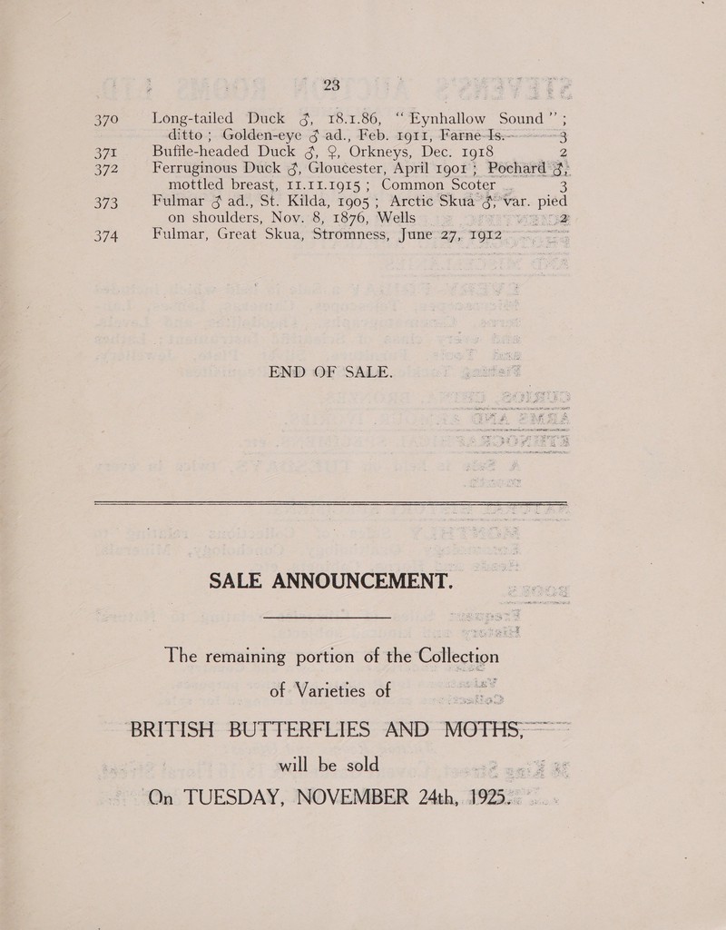 Long-tailed Duck 4, 18.1.86, “Eynhallow Sound ”’ ; ditto; Golden-eye gj .ad., Feb. 1911, Farne-Is.~--—3 Bufile-headed Duck Ss Orkneys, Dec. 1918 2 Ferruginous Duck 3, Gloucester, April 1901; Pochard 3, mottled breast, 11.11.1915 ; Common Scoter ie 3 Fulmar ¢ ad., St. Kilda, 1905; Arctic Skua’ 3 WAL. mua on shoulders, Nov. 8, 1876, Wells ERTL Fulmar, Great Skua, Stromness, re, 3912 = END OF SALE.  SALE ANNOUNCEMENT. The remaining portion of the Collection of Varieties of will be sold ey On TUESDAY, NOVEMBER 24th, 1925. ~