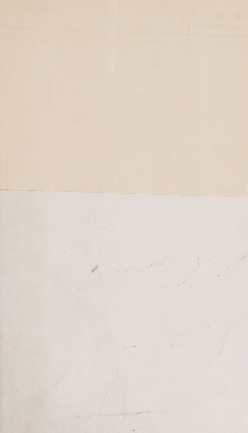 Digitized by the Internet Archive in 2021 with funding from Wellcome Library https://archive.org/details/o31826350