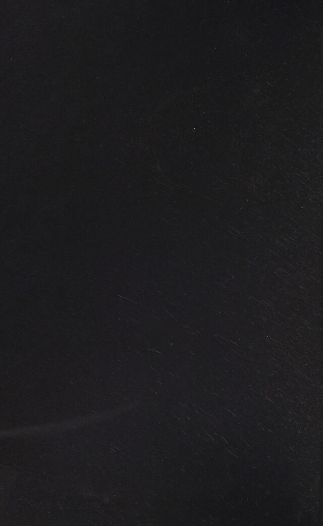 digitised image 2