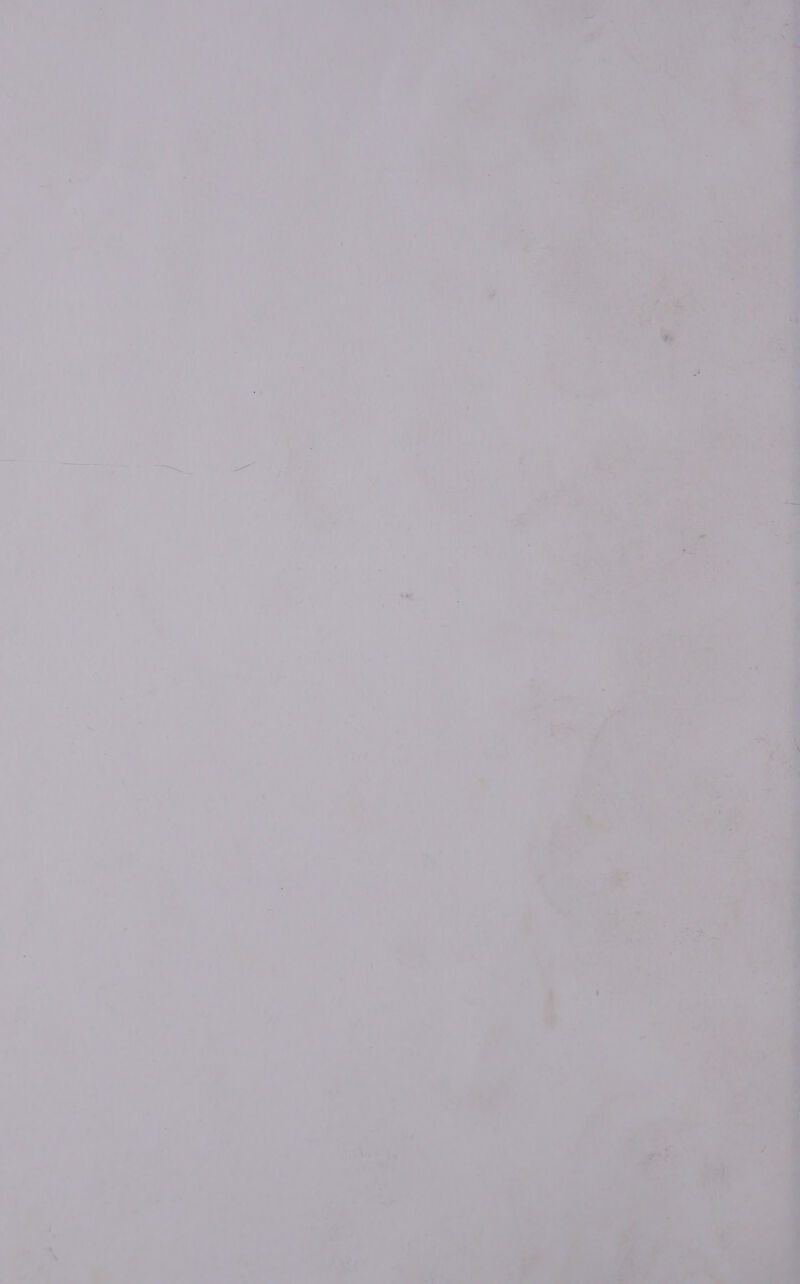 oa “a4 7 ha A Aaa | 28 af Pi \  Gate oe ¢