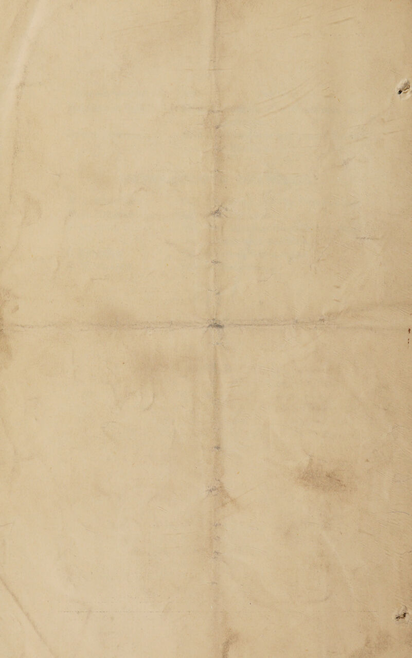      eH, oF Aven 4 woe aie sn be é      ¥ jasee Noes