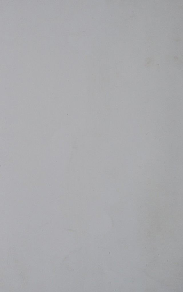 digitised image 2