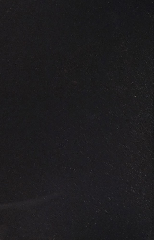 digitised image 2