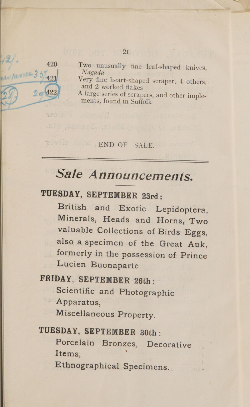 420 Two unusually fine leaf-shaped knives, Nagada Very fine heart-shaped scraper, 4 others, and 2 worked flakes A large series of scrapers, and other imple- ments, found in Suffolk  -END- OF SABE. Sale Announcements. TUESDAY, SEPTEMBER 28rd: British and Exotic Lepidoptera, Minerals, Heads and Horns, Two valuable Collections of Birds Eggs, also a specimen of the Great Auk, _ formerly in the possession of Prince Lucien Buonaparte FRIDAY, SEPTEMBER 26th: Scientific and Photographic Apparatus, Miscellaneous Property. TUESDAY, SEPTEMBER 30th: Porcelain Bronzes, Decorative Items, ; | Ethnographical Specimens.
