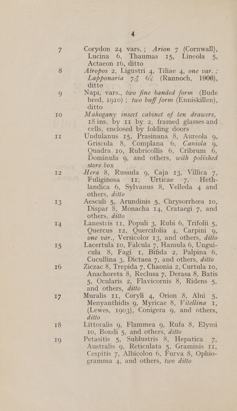 IO A i 8 13 14 15 16 17 18 +9 4 Corydon 24 vars.; Avion 7 (Cornwall), Lucina 6, Thaumas 15, Lineola 5, Actaeon 16, ditto Atropos 2, Ligustri 4, Tiliae 4, one var. ; Lapponania 73 62 (Rannoch, 1906), dittewy yk ae , Napi, vars., two fine banded form -(Bude bred, 1910) ; two buff form (Enniskillen), ditto Mahogany insect cabinet of ten drawers, 18ins. by 11 by 2, framed glasses and cells, enclosed by folding doors . Undulanus 15, Prasinana 8, Aureola 9, Griseola 8, Complana 6, Canitola 9g, Quadra. ro, Rubricollis 6, Cribrum 6, Dominula 9, and others, with polished store box Fuligihosa «18: “Urticae -*7;* -Heth- landica 6, Sylvanus 8, Velleda 4 and others, ditto Aesculi 5, Arundinis 5, Chrysorrhcea Io, Dispar 8, Monacha 14, Crataegi 7, and others, ditto Lanestris 11, Populi 3, Rubi 6, Trifoli 5, Quercus 12, Querciiolia “4, Carpini ~o, one vay., Versicolor 13, and others, ditto Lacertula 10, Falcula 7, Hamula 6, Ungui- cula 8.) Fagi- a, .Bilida ‘2>7Palpima 6, Cucullina 3, Dictaea 7, and others, ditto Ziczac 8, Trepida 7, Chaonia 2, Curtula ro, Anachoreta 8, Reclusa 7, Derasa 8, Batis. 5, Ocularis 2, Flavicornis 8, Ridens 5, and others, ditto Muralis rz, Coryli 4, Orion 8, Alni 5, Menyanthidis 9, Myricae 8, Vuitellina 1, (Lewes, 1903), Conigera 9, and others, ditto | Littoralis 9, Flammea 9, Rufa 8, Elymi Io, Bondi 5, and others, ditto Petasitis 5, Sublustris: 8, Mepatiea. 7, Australis 9, Reticulata 5, Graminis II, Cespitis 7, Albicolon 6, Furva 8, Ophio-
