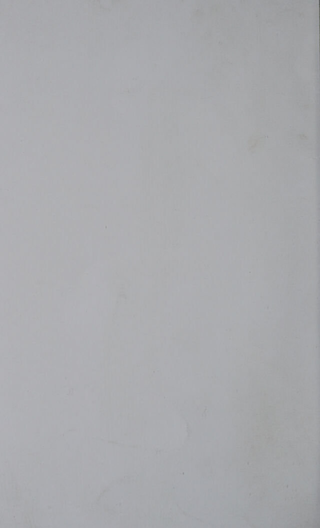 digitised image 2