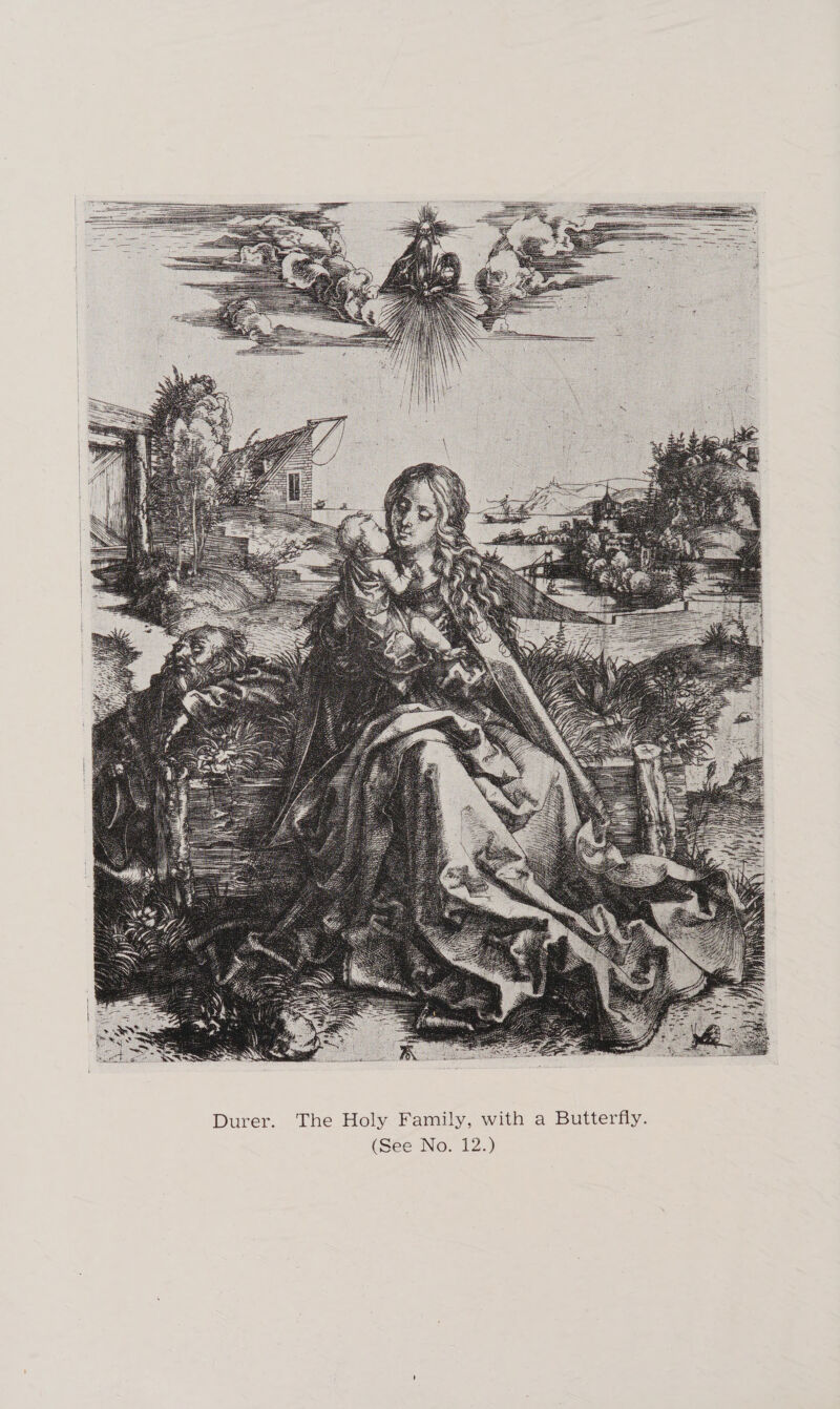   th a Butterfly y Family, wi ee No. 12.) er. The Hol Dur S (